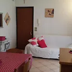 Barum Rosa
