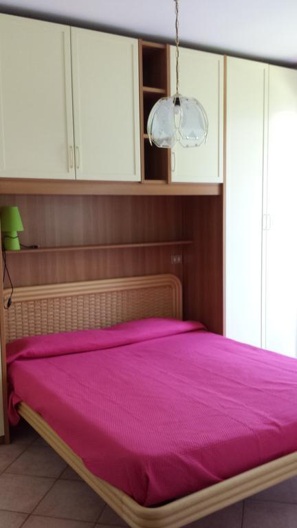 Barum Rosa